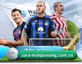 平台简介 - 体育资讯内容服务 - maiqiuwang